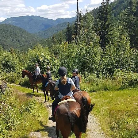 River Run Ranch - Telemark Drangedal Exteriör bild