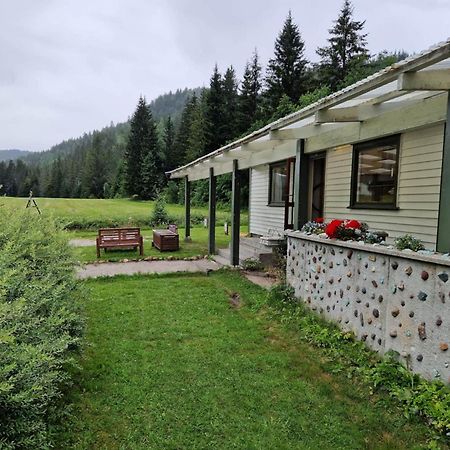 River Run Ranch - Telemark Drangedal Exteriör bild