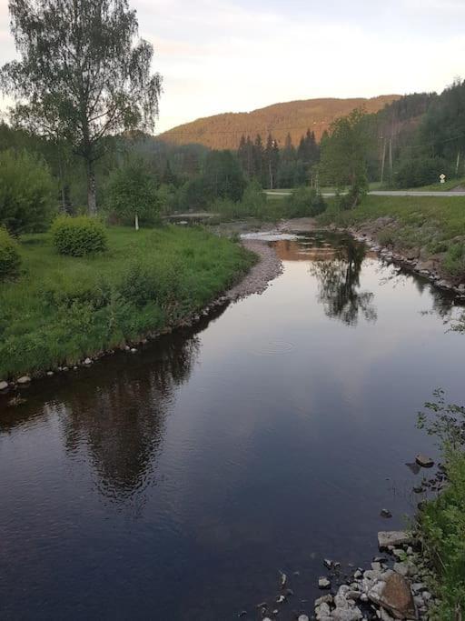 River Run Ranch - Telemark Drangedal Exteriör bild
