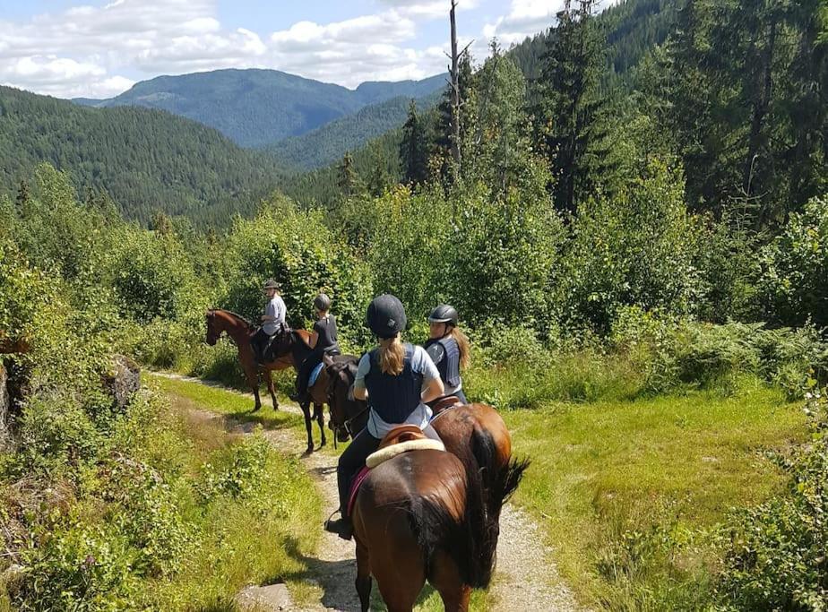 River Run Ranch - Telemark Drangedal Exteriör bild