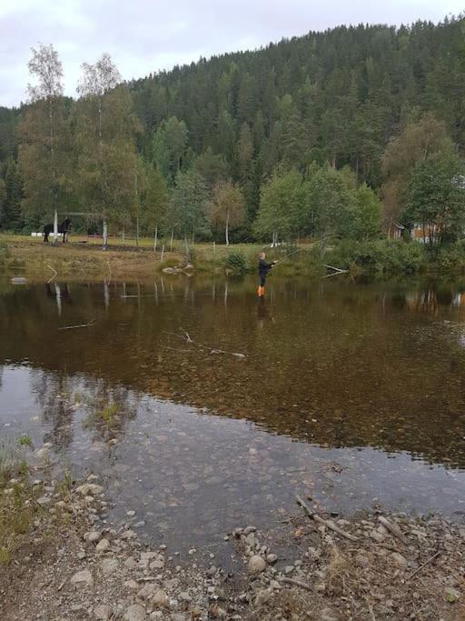 River Run Ranch - Telemark Drangedal Exteriör bild