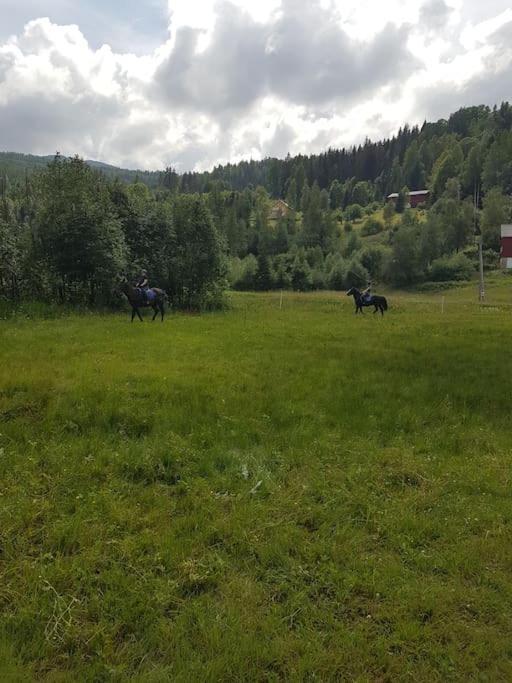 River Run Ranch - Telemark Drangedal Exteriör bild