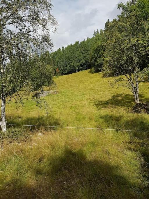 River Run Ranch - Telemark Drangedal Exteriör bild