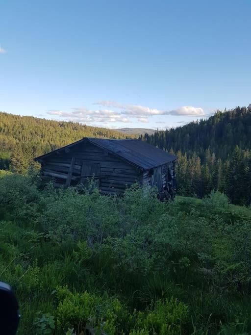 River Run Ranch - Telemark Drangedal Exteriör bild