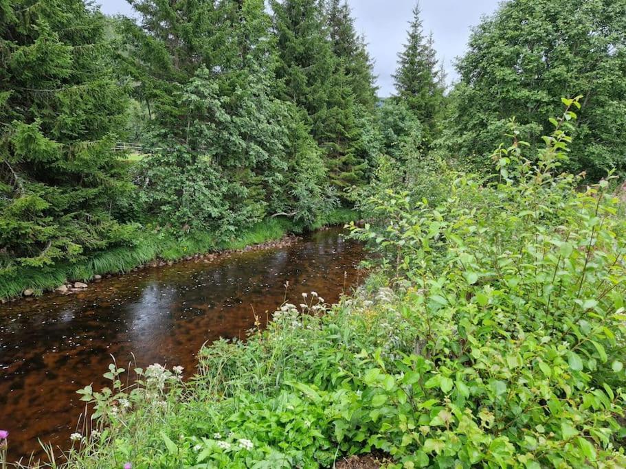 River Run Ranch - Telemark Drangedal Exteriör bild