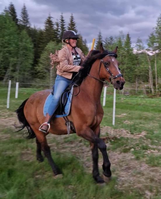 River Run Ranch - Telemark Drangedal Exteriör bild