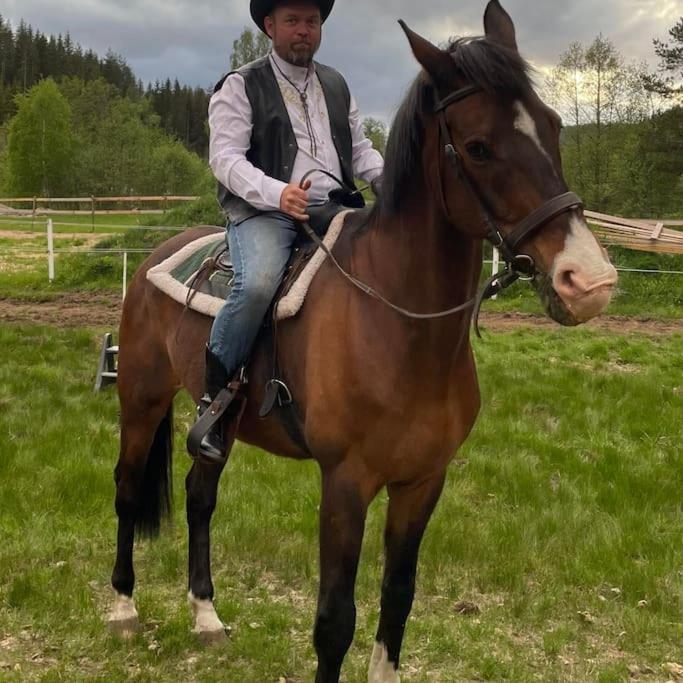 River Run Ranch - Telemark Drangedal Exteriör bild