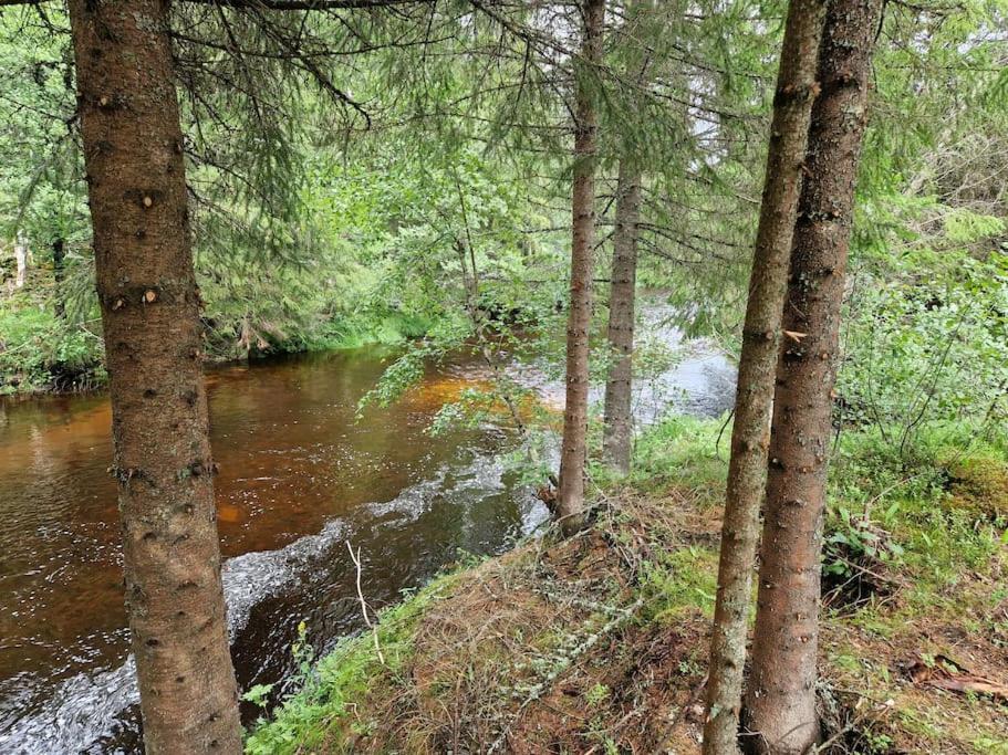 River Run Ranch - Telemark Drangedal Exteriör bild